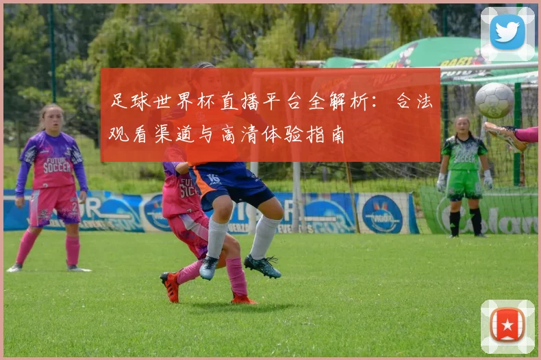 足球世界杯直播平台全解析:合法观看渠道与高清体验指南